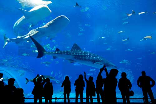 水族館